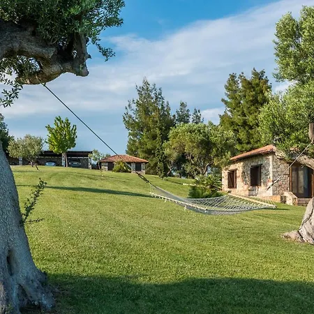 Sithonian Blue Royal 니키티